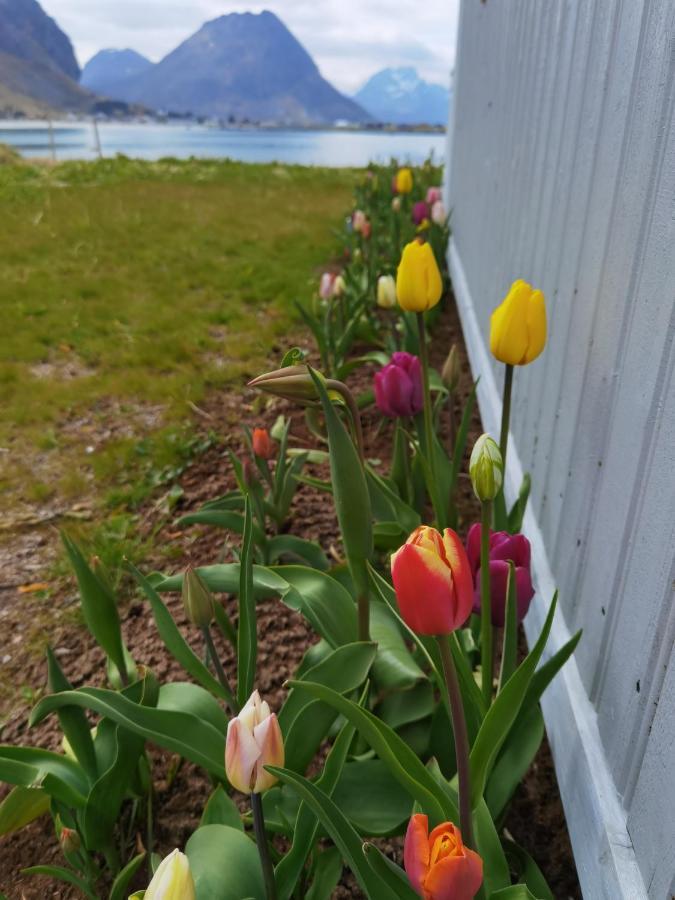 Hytte Banpim Beachside Lofoten Ramberg