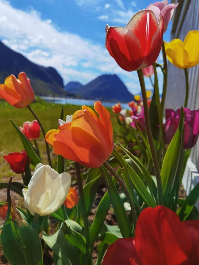 Banpim Beachside Lofoten Ramberg