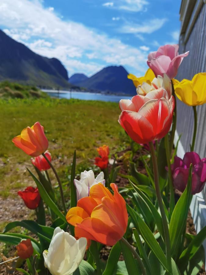 Banpim Beachside Lofoten * Ramberg