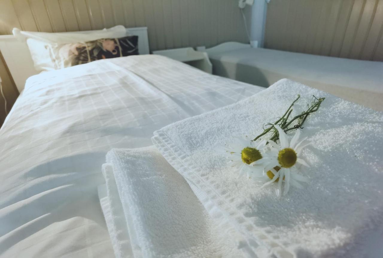 Banpim Beachside Lofoten Hytte *
